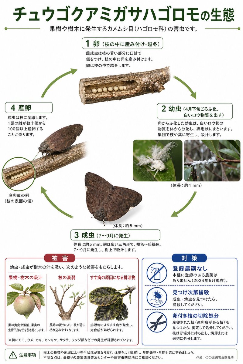 Japanische Schädling-Lebenszyklus-Infografik